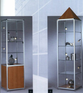 Standvitrinen nice 251