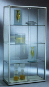 Standvitrinen nice s41